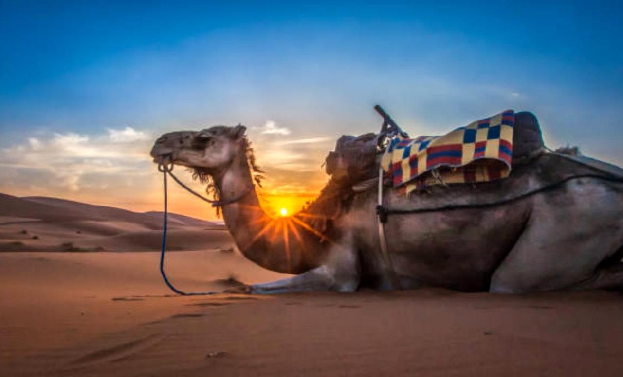 Holiday Desert Camp Merzouga Exteriör bild
